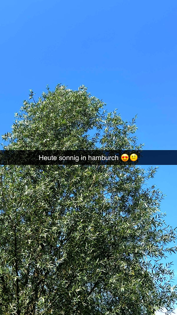 alexissshv snapchat image archive image