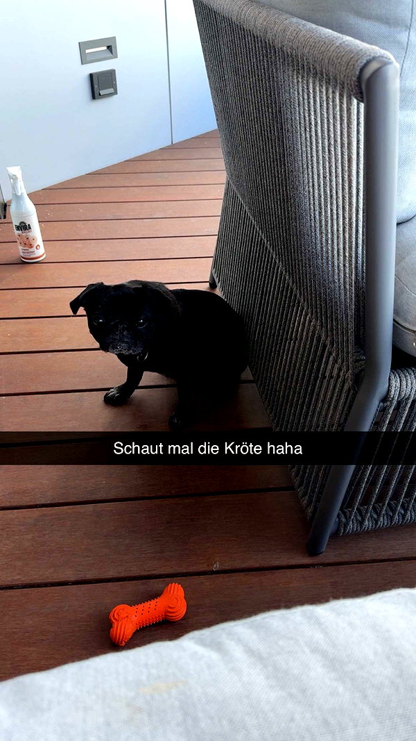 alexissshv snapchat image archive image