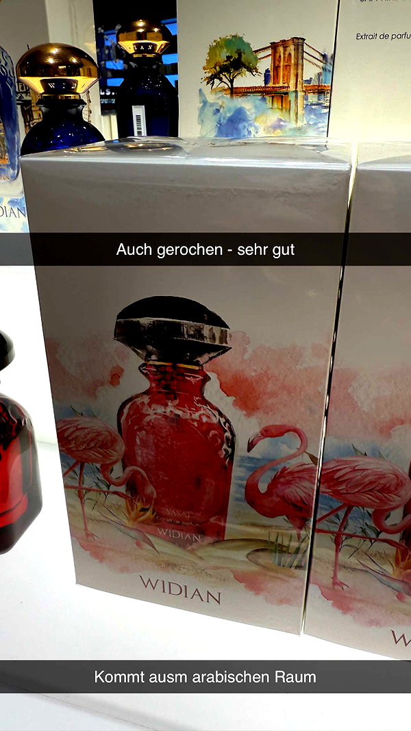 alexissshv snapchat image archive image
