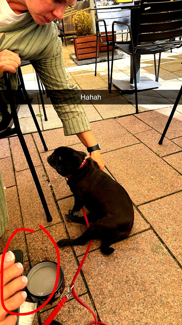 alexissshv snapchat image archive image