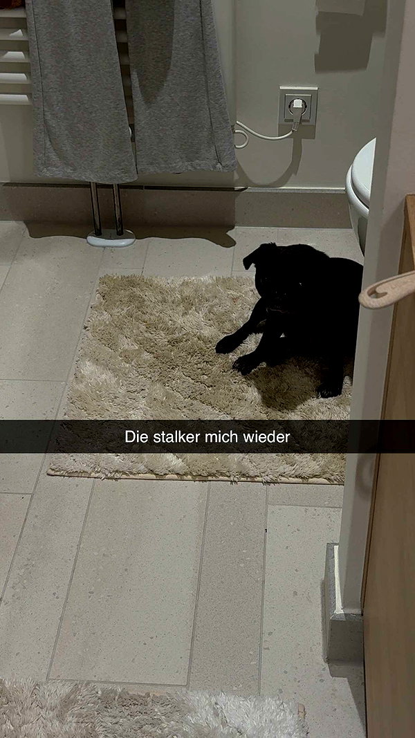 alexissshv snapchat image archive image