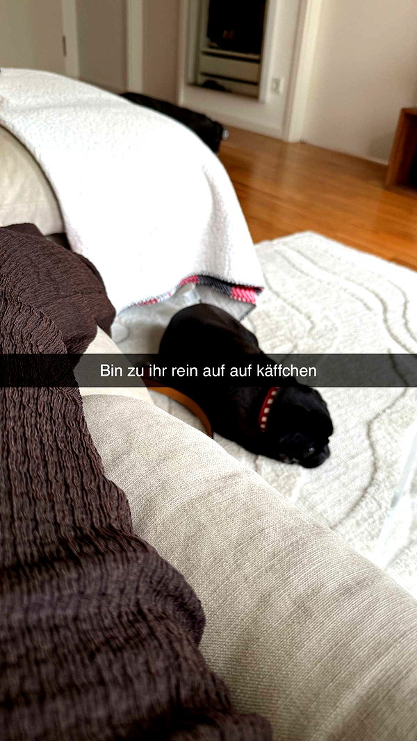 alexissshv snapchat image archive image