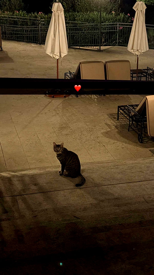 alexissshv snapchat image archive image