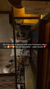 alexissshv Altpins Profile Picture