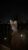 alexissshv Altpins Profile Picture