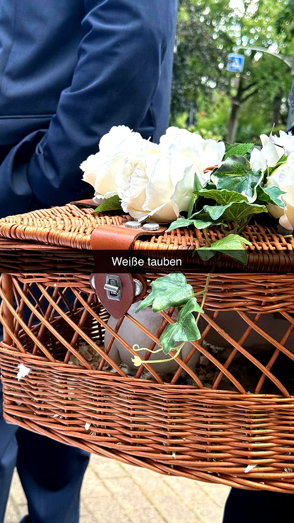 alexissshv snapchat image archive image