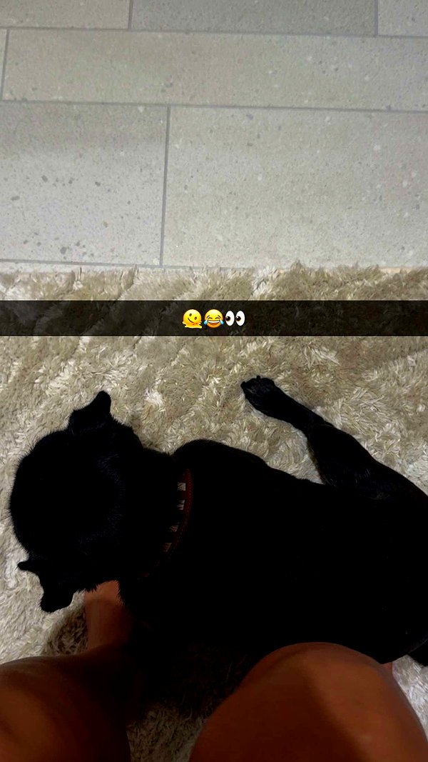 alexissshv snapchat image archive image