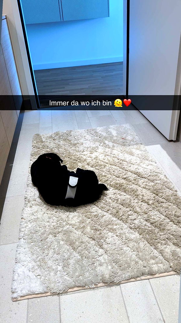 alexissshv snapchat image archive image