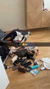alexissshv Altpins Profile Picture