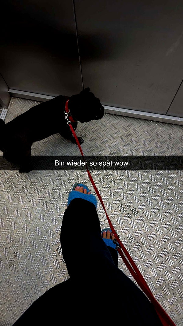 alexissshv snapchat image archive image