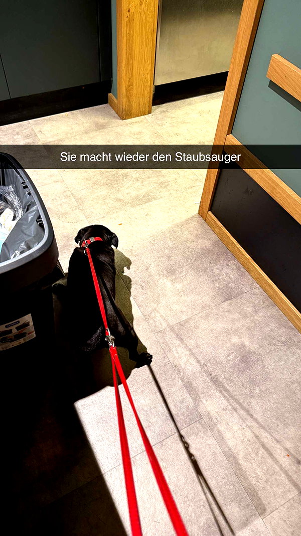 alexissshv snapchat image archive image