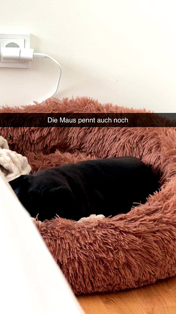alexissshv snapchat image archive image