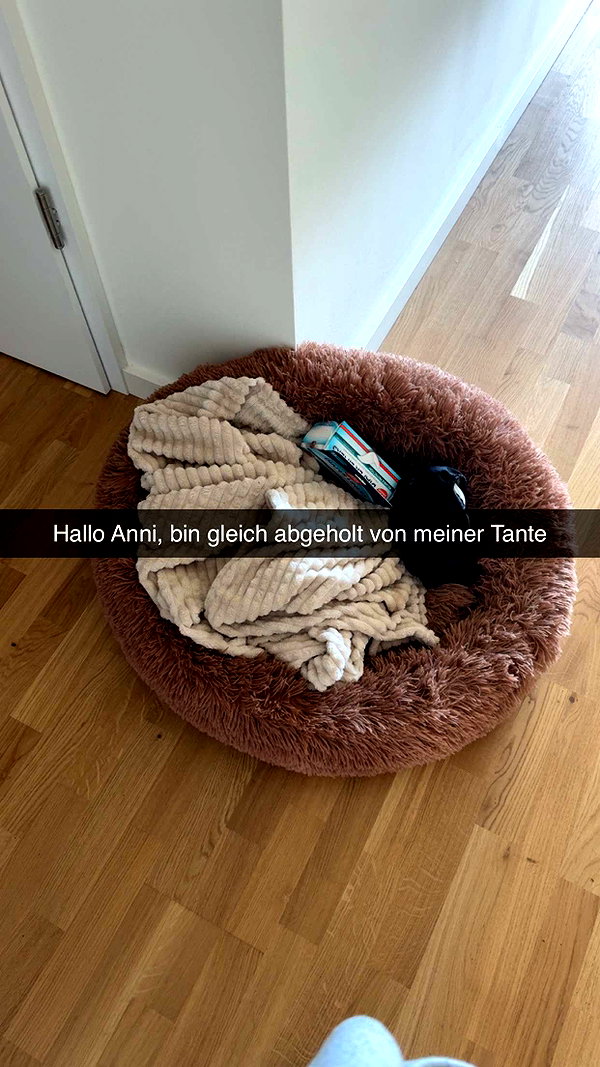 alexissshv snapchat image archive image
