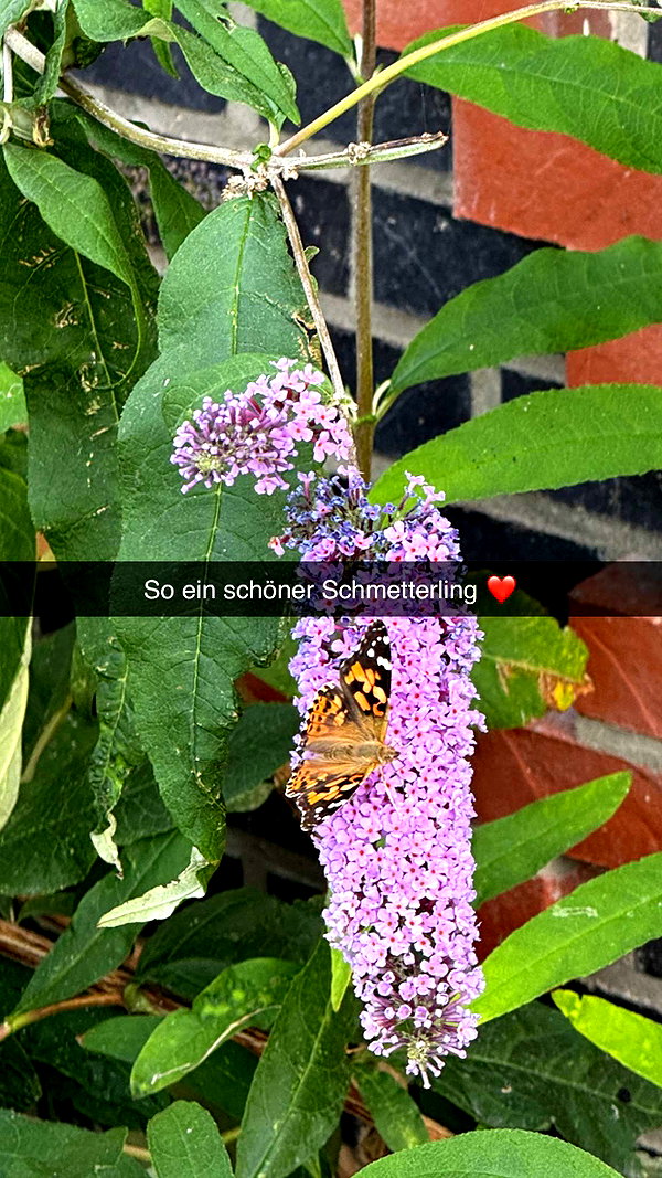 alexissshv snapchat image archive image