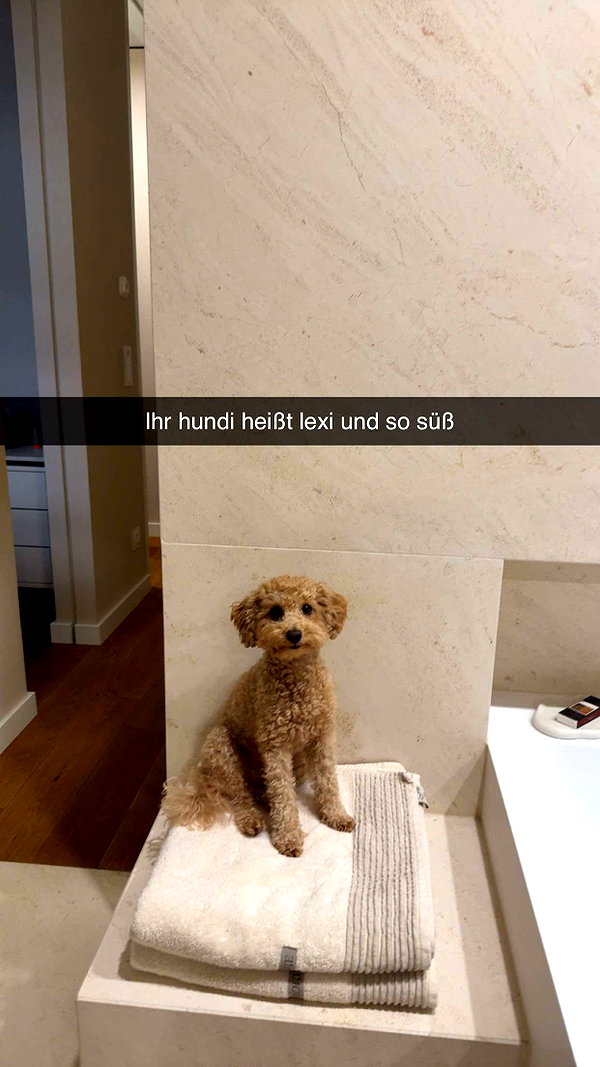 alexissshv snapchat image archive image