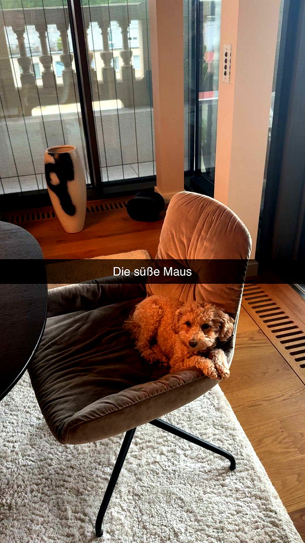 alexissshv snapchat image archive image