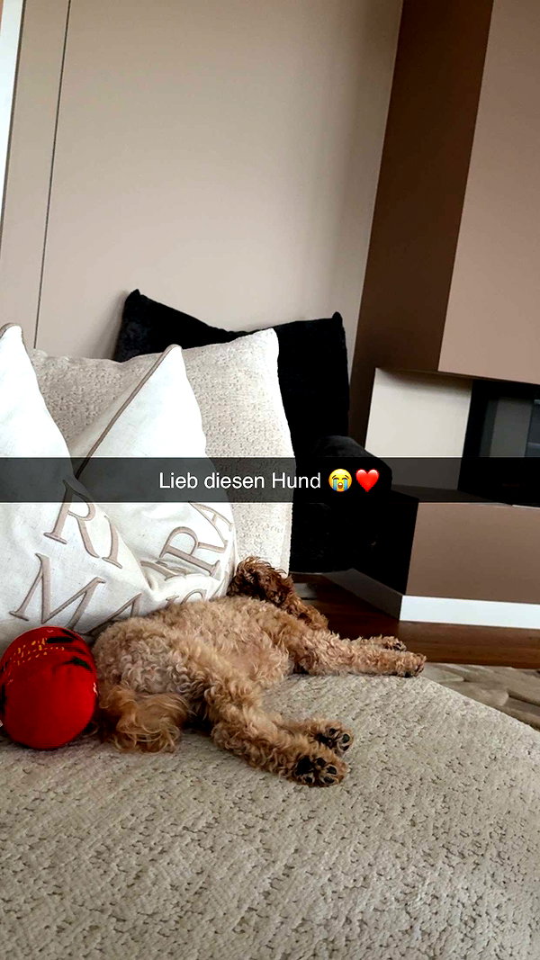 alexissshv snapchat image archive image