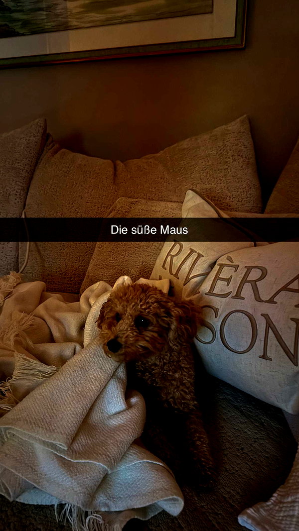 alexissshv snapchat image archive image