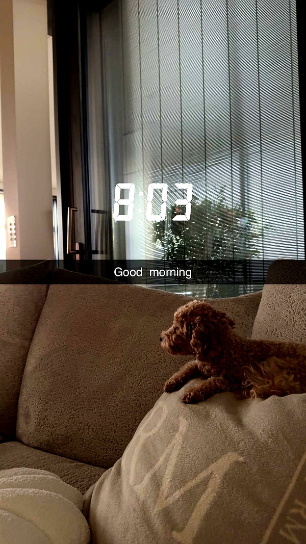 alexissshv snapchat image archive image