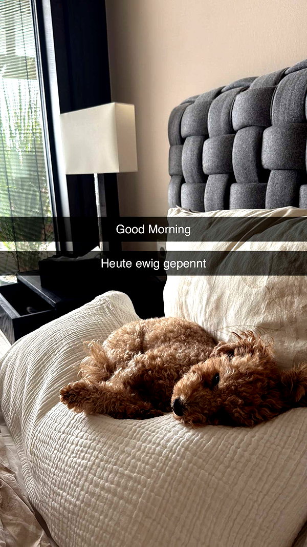 alexissshv snapchat image archive image