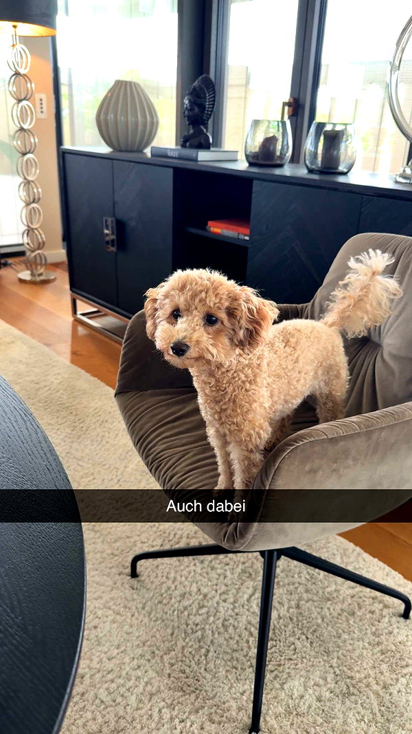 alexissshv snapchat image archive image