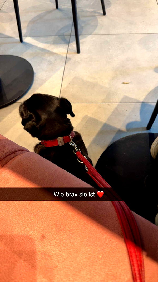 alexissshv snapchat image archive image