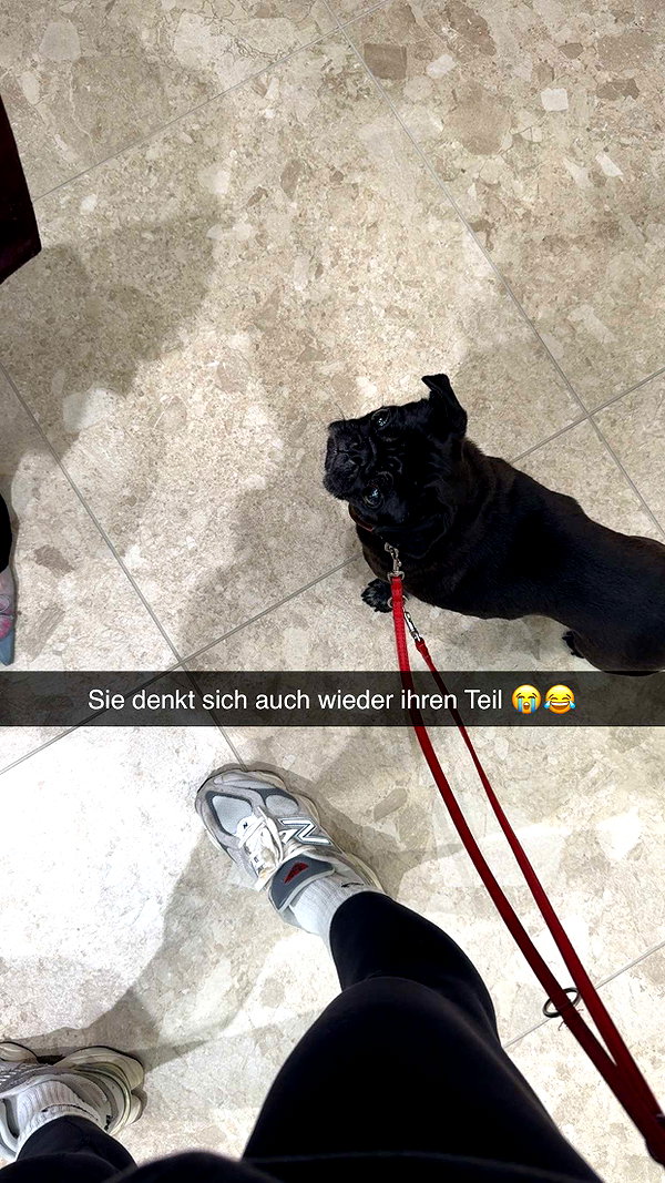 alexissshv snapchat image archive image