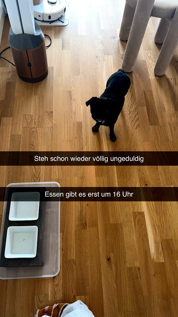 alexissshv snapchat image archive image