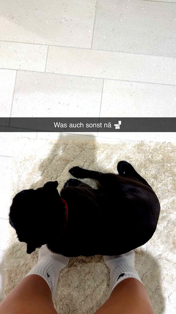 alexissshv snapchat image archive image