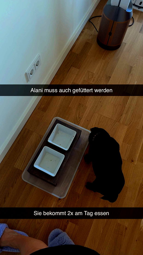 alexissshv snapchat image archive image