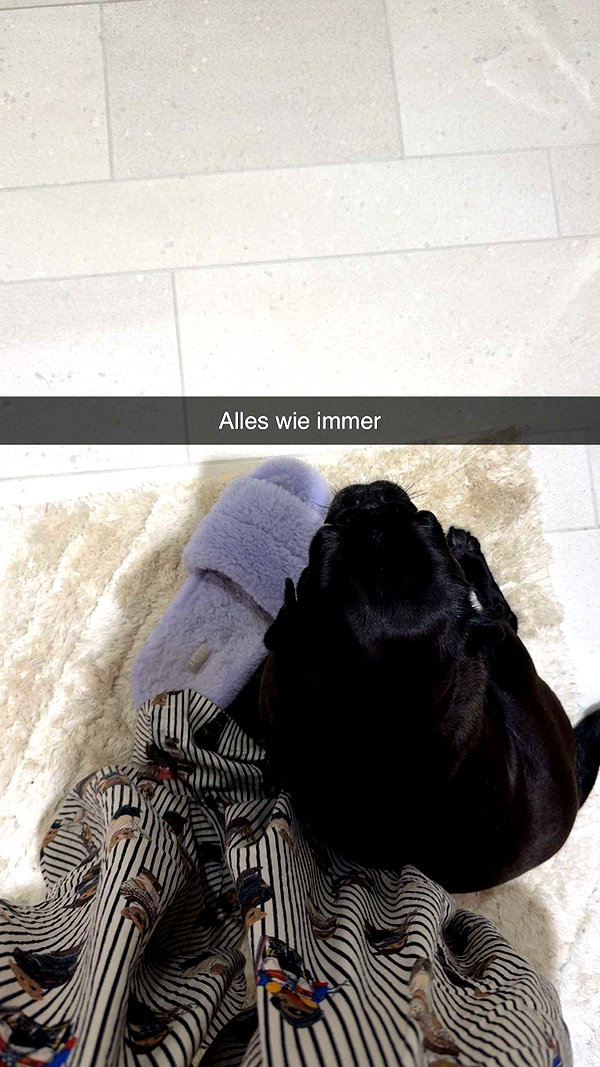 alexissshv snapchat image archive image