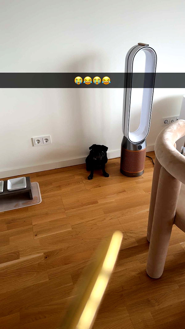 alexissshv snapchat image archive image