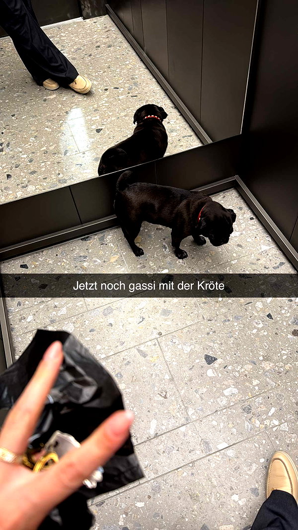 alexissshv snapchat image archive image