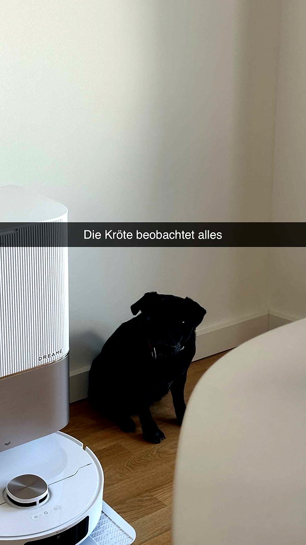 alexissshv snapchat image archive image
