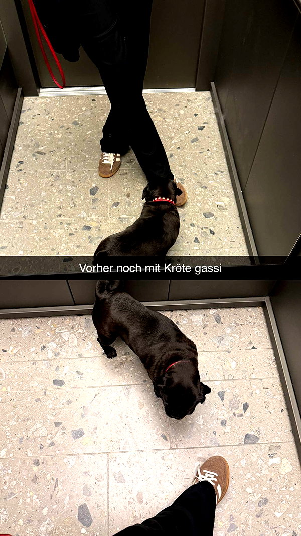 alexissshv snapchat image archive image