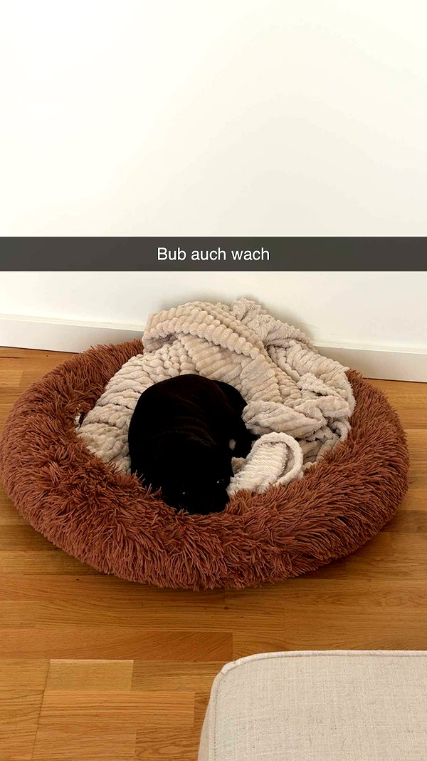 alexissshv snapchat image archive image