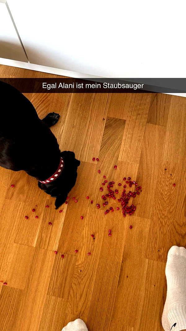 alexissshv snapchat image archive image