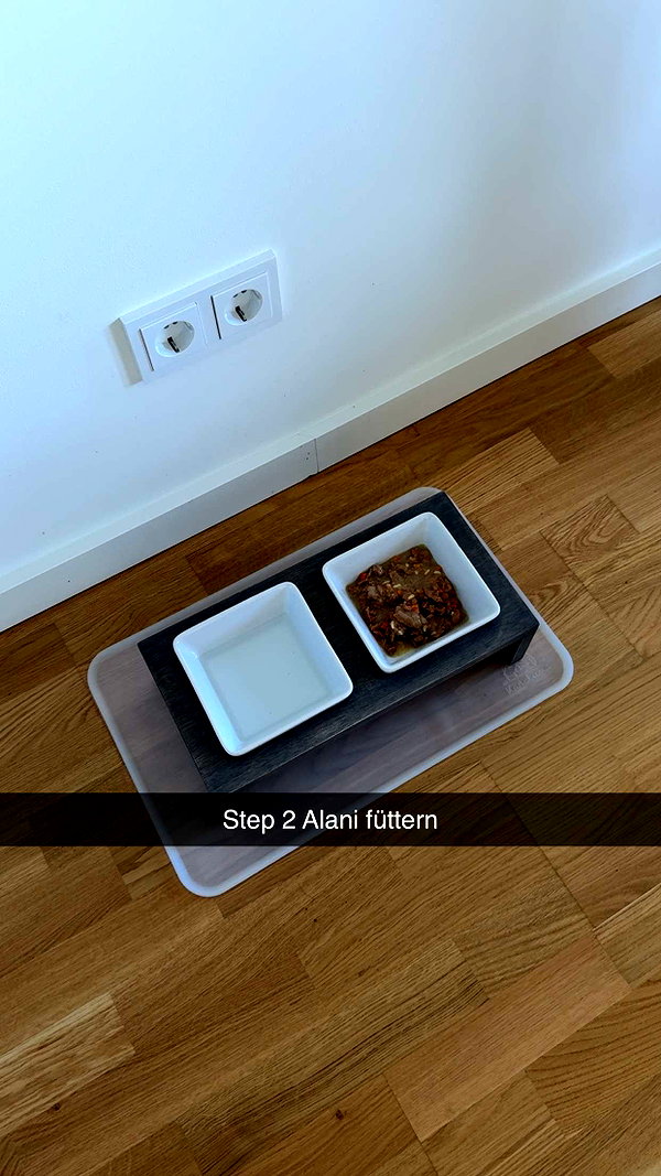 alexissshv snapchat image archive image