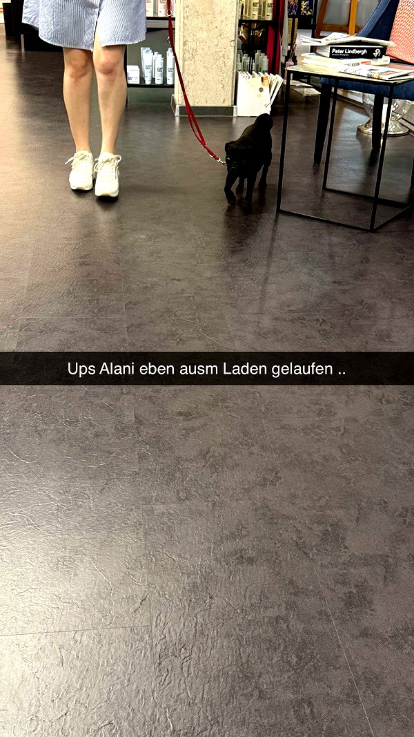 alexissshv snapchat image archive image