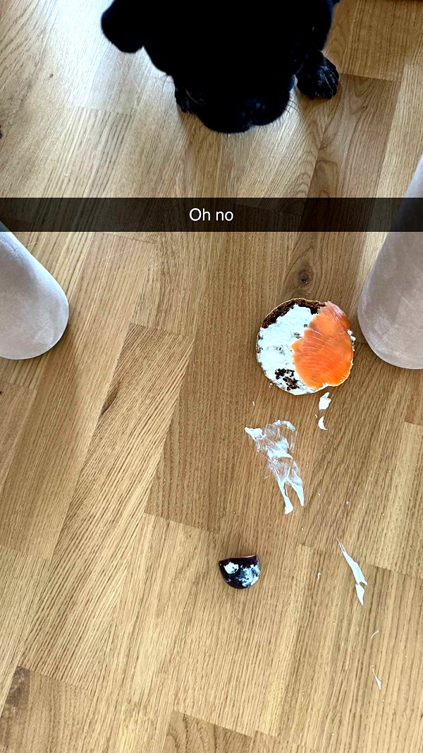 alexissshv snapchat image archive image