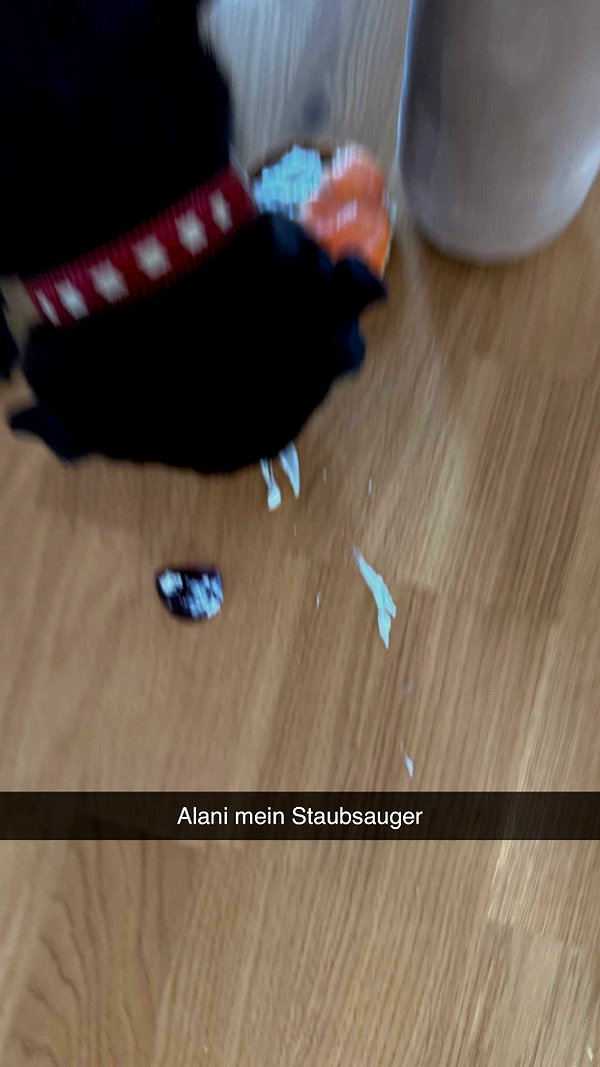 alexissshv snapchat image archive image