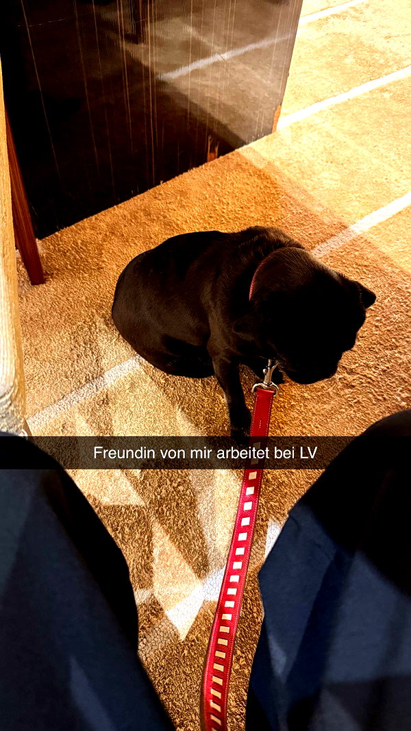 alexissshv snapchat image archive image