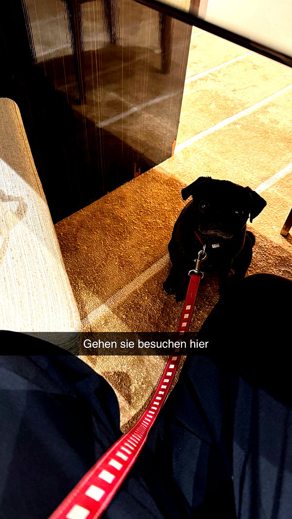 alexissshv snapchat image archive image
