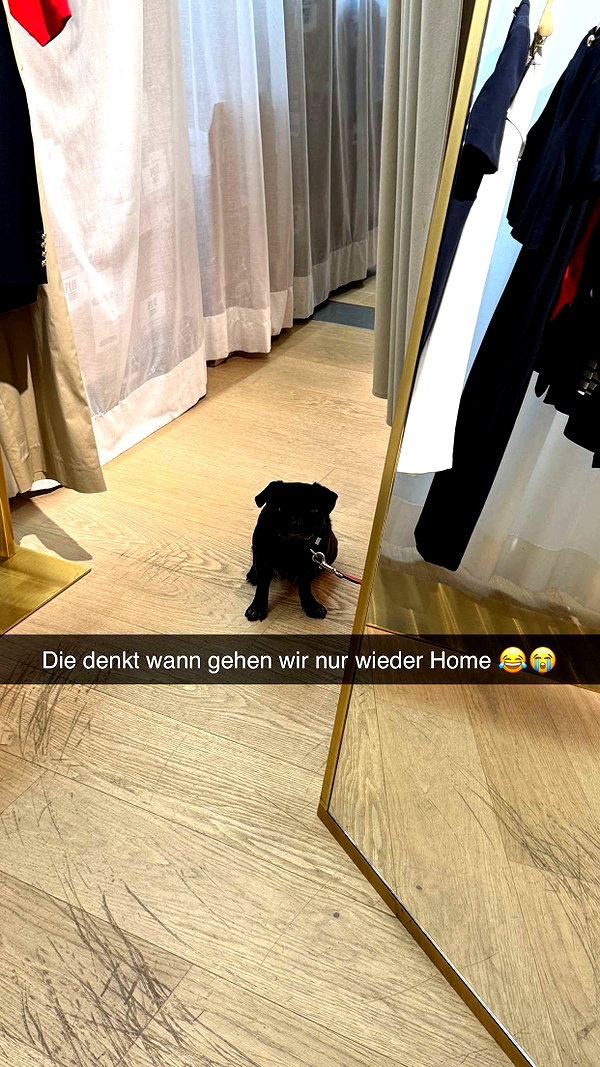 alexissshv snapchat image archive image