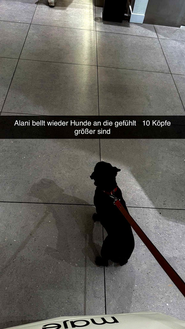 alexissshv snapchat image archive image