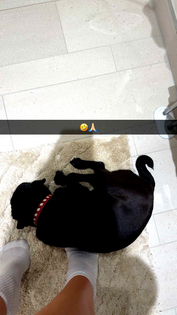 alexissshv snapchat image archive image