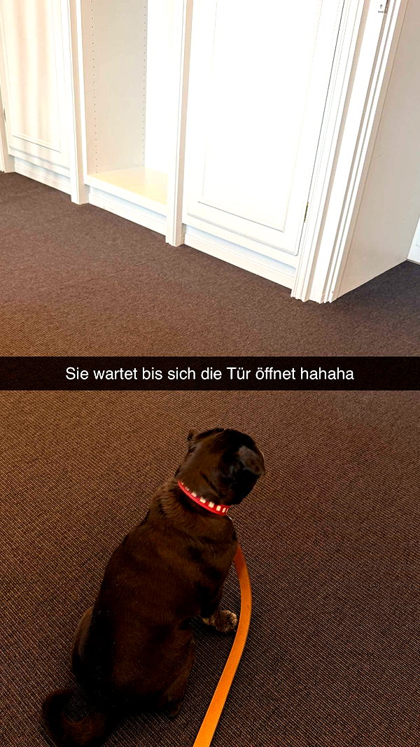 alexissshv snapchat image archive image
