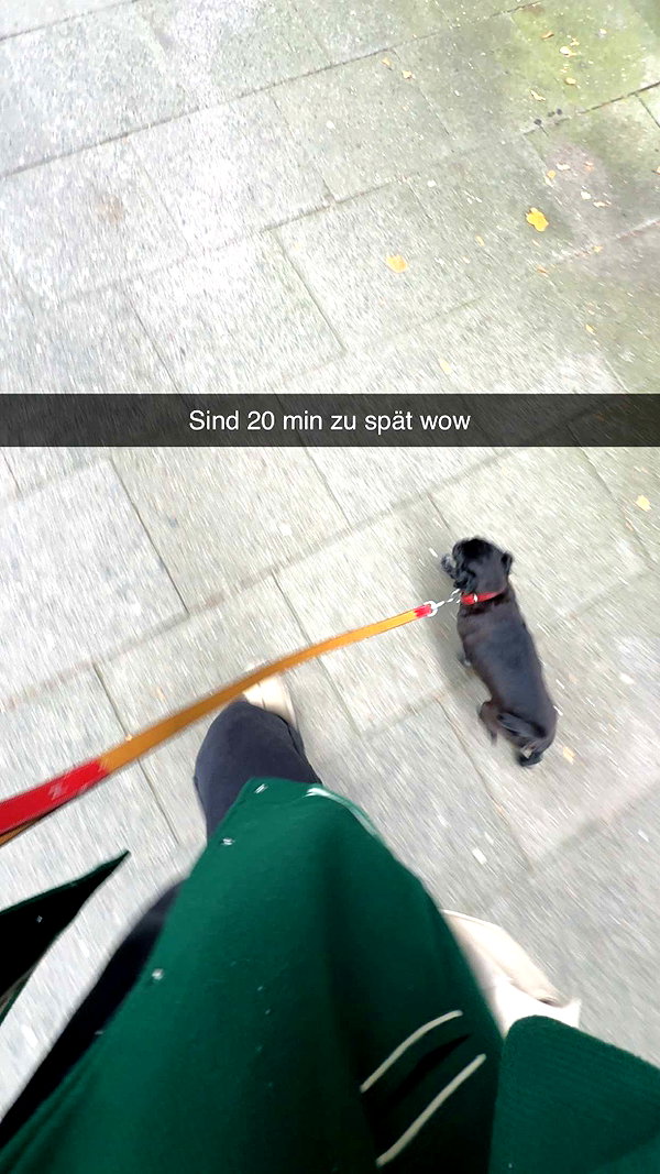alexissshv snapchat image archive image