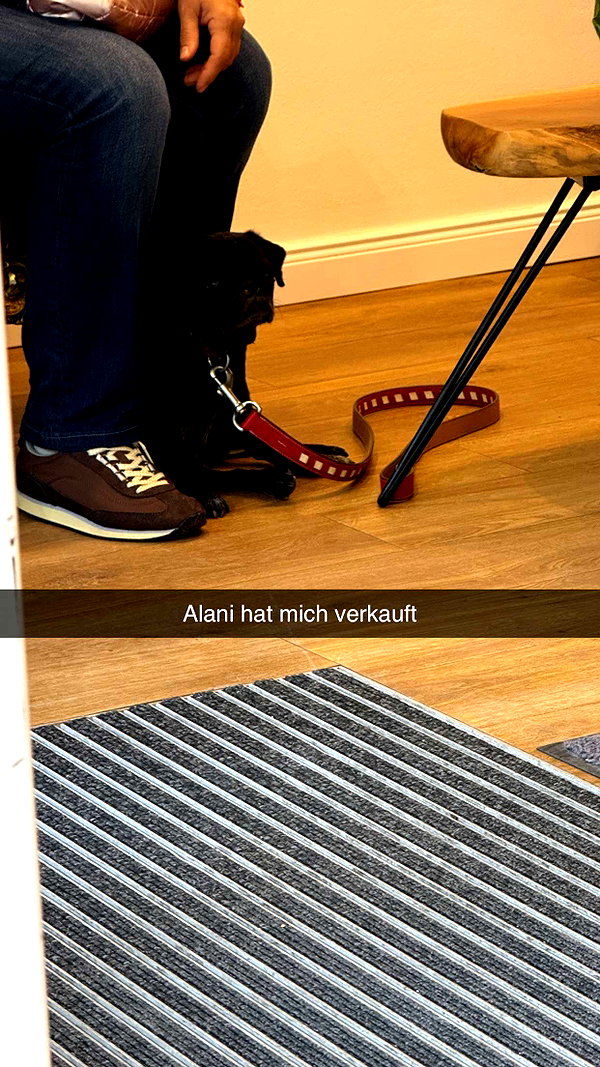 alexissshv snapchat image archive image