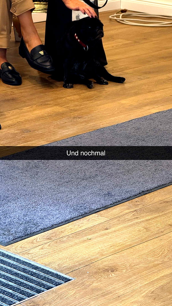 alexissshv snapchat image archive image